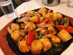 铁板日本豆腐-东北王食府(科大店)