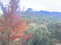 -香山公园