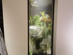 -万泊酒店(长沙五一广场国金中心店)
