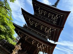 -医王山·飞騨国分寺