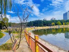 -黄兴公园
