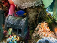 -太平洋海底世界