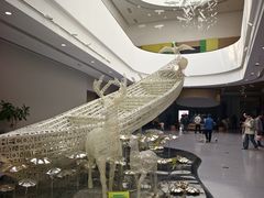 -中国湿地博物馆