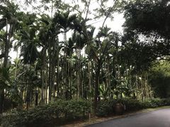 -七仙岭温泉国家森林公园