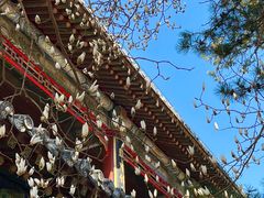 -潭柘寺景区
