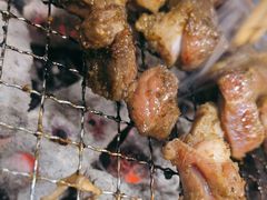 -四斤烤肉(东戴河孟家店)