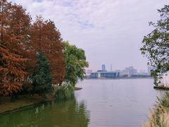 -月湖风景区