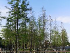 -映月湖公园