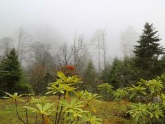 -燕子沟风景区