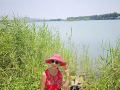 -贡湖湾湿地公园