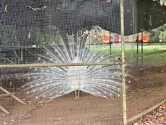 -水底山庄园温泉