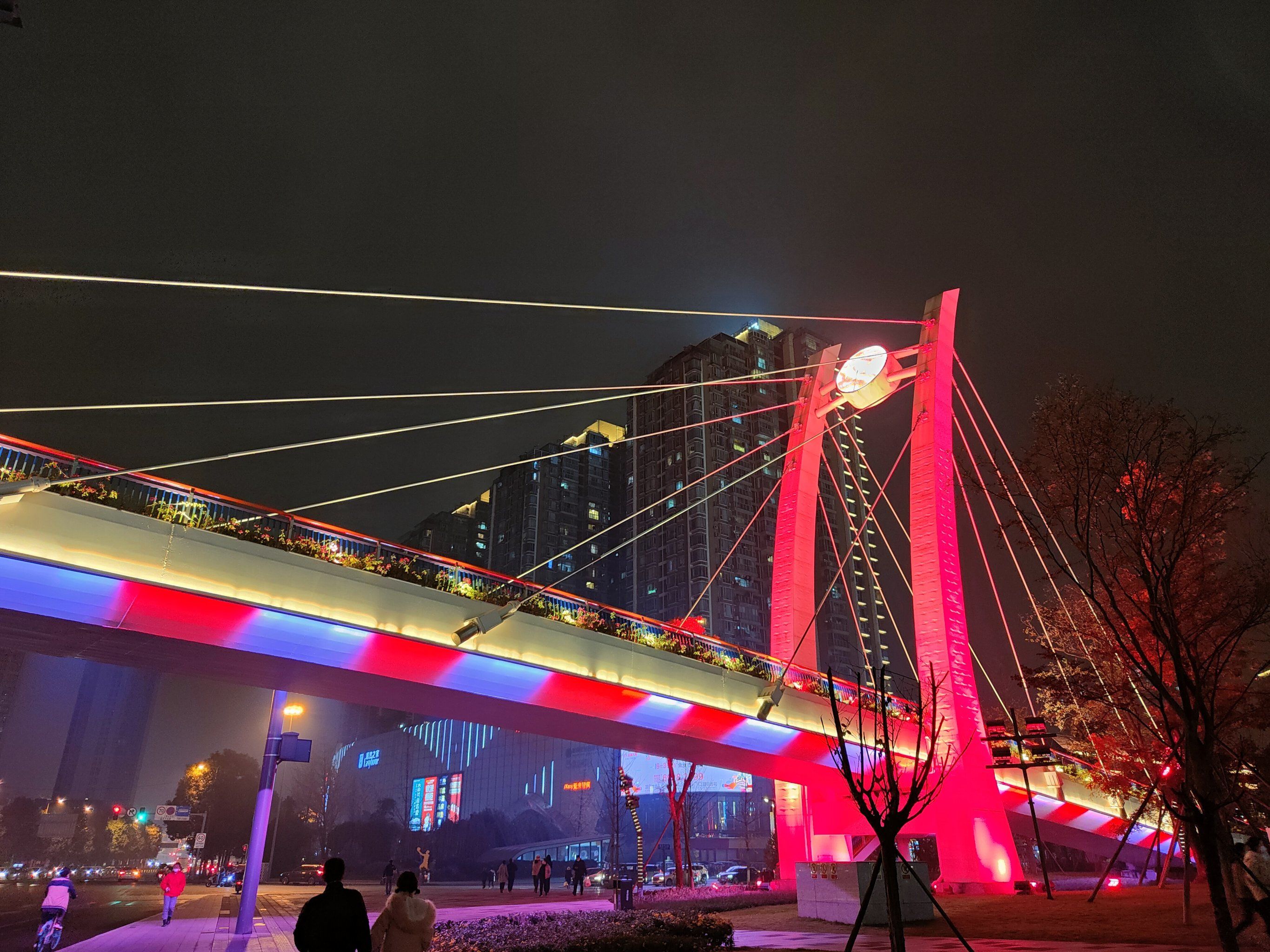 新金牛公园网红桥夜景