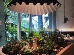 -春树下·树屋花房西餐厅(罍街AS1980店)