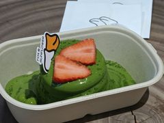 -狐狸和向日葵(北京路店)