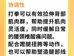 -M.S拳击泰拳馆(大学路店)