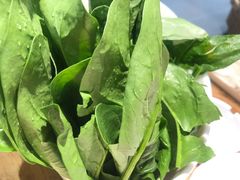 菠菜-草原塞蛮羊火锅城(港湾店)