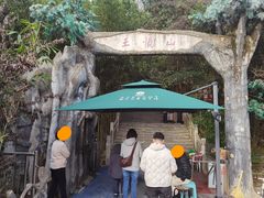 -王顺山国家森林公园