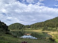 -武陵山森林公园