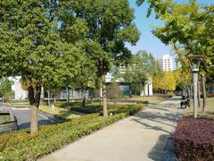 -南翔镇银翔湖公园
