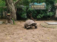 -广州长隆飞鸟乐园