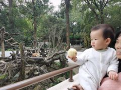 -杭州少年儿童公园