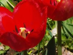 -长春公园(普阳街道)