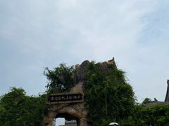 -大槐树寻根祭祖园