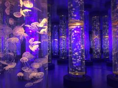 -梦幻海洋王国(吾悦广场张家港店)