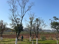 -南京市无想山景区