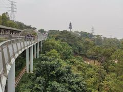 -仙岳公园