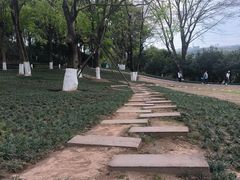 -重庆园博园