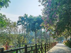 -广州莲花山旅游区