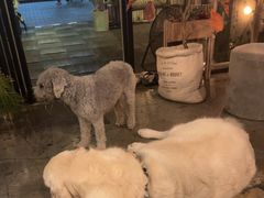 -咖法森林·咖啡  酒吧(天河店)