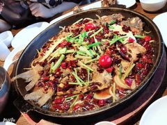 -老板恋上鱼(恒隆广场店)