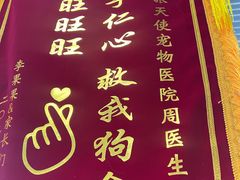 -瑞派天使宠物医院·神经外科·骨科·核磁(洛川中路店)