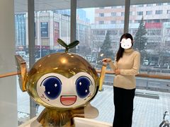 -东北大学附属辽宁爱尔眼科医院