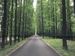 -上海海事大学(临港校区)