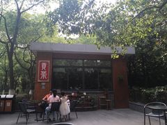 -昆山城市生态森林公园