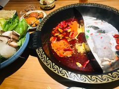 -肚社毛肚火锅