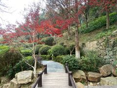 -桃花岭景区