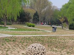 -金星公园