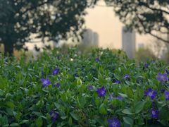 -白塘生态植物园