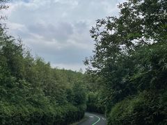 -天目湖涵田度假村
