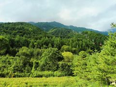 -狮子沟牧场