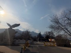 -北京鹫峰国家森林公园