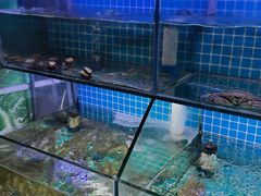 -面道赞宁海海鲜面(迎凤街店)