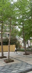 -河南中医药大学第一附属医院-医疗整形