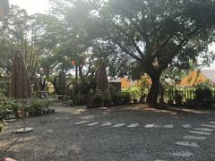 -长洲岛都市农业公园