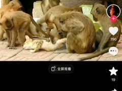 -昆明动物园