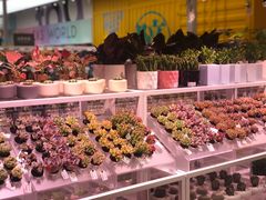 -KKV(东莞海德汇一城店)